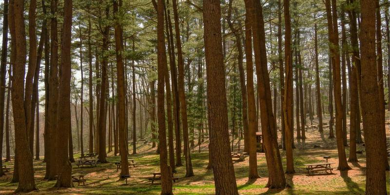 中小企业合规不求人!这份免费法律资源宝库,从案例到合同一网打尽