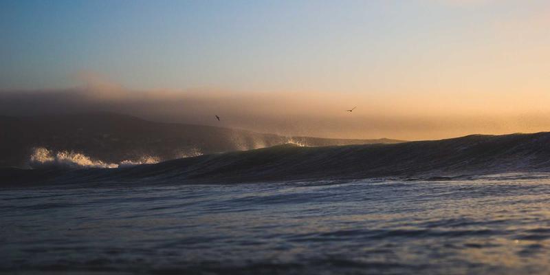 从零浪费到社区共享：一份可持续生活的实践指南与资源地图