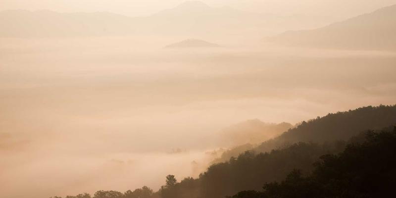 外科医生进阶利器：全球顶尖免费手术视频库与病例数据库全解析