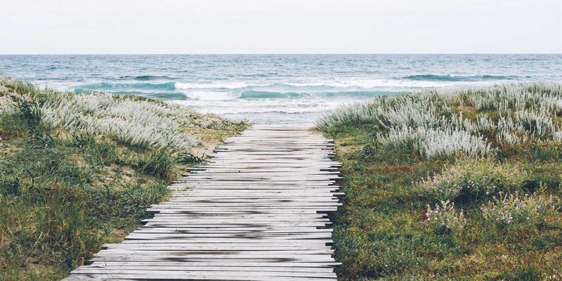 家庭STEAM教育宝藏指南：10个免费资源平台与亲子实验项目