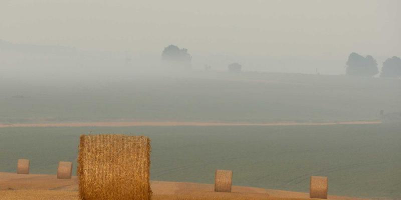 心理学爱好者资源宝库：解锁免费数据集、实验工具与核心期刊