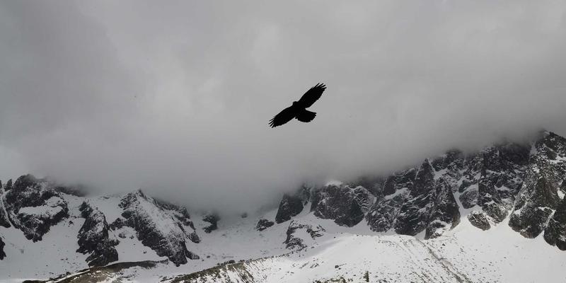 科研数据共享新趋势：国内外开放获取数据库与协作平台权威指南