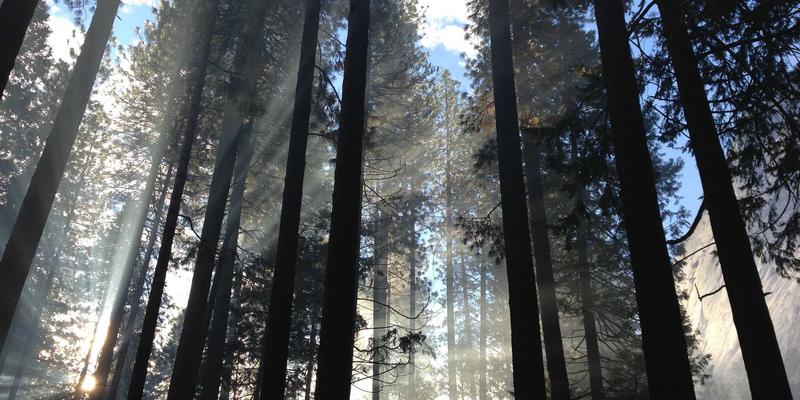 设计师必收！这10个免费高质量素材网站，让你灵感爆棚效率翻倍